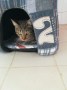 Mora 2